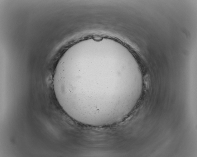 X0000113561495200910161444