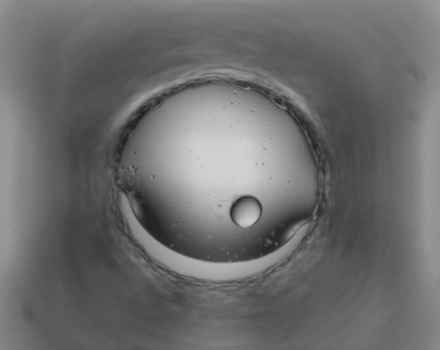 X0000113561496200910161444