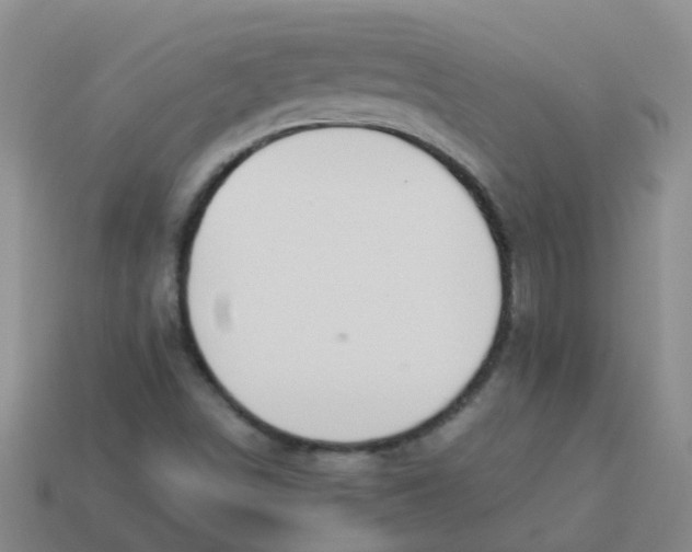 X0000113561498200910161444