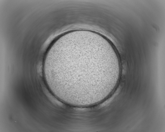 X0000113561499200910161444