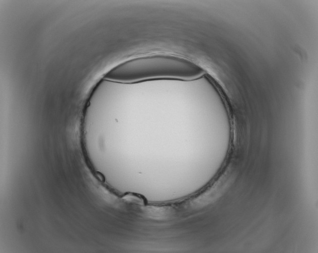 X0000113561500200910161444