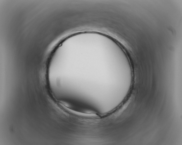 X0000113561502200910161445