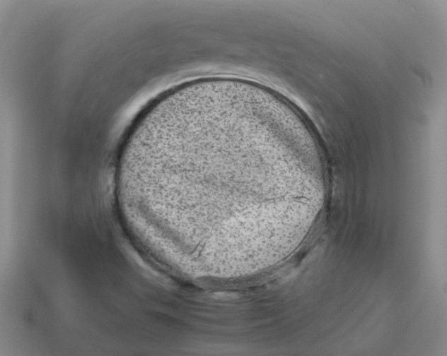 X0000113561503200910161445