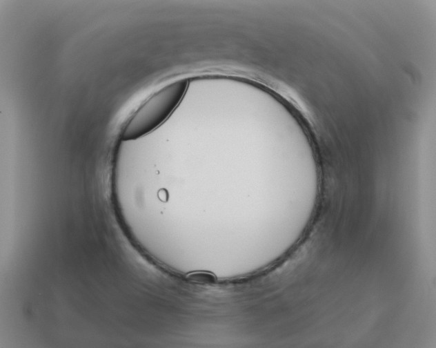 X0000113561504200910161445