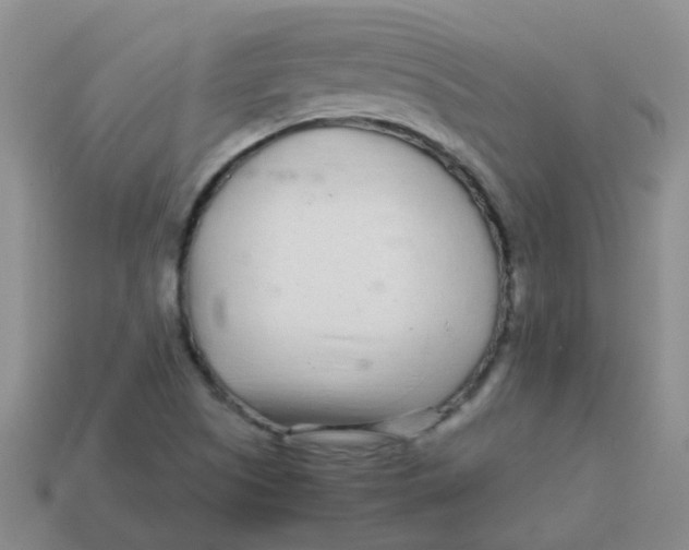 X0000113561505200910161445