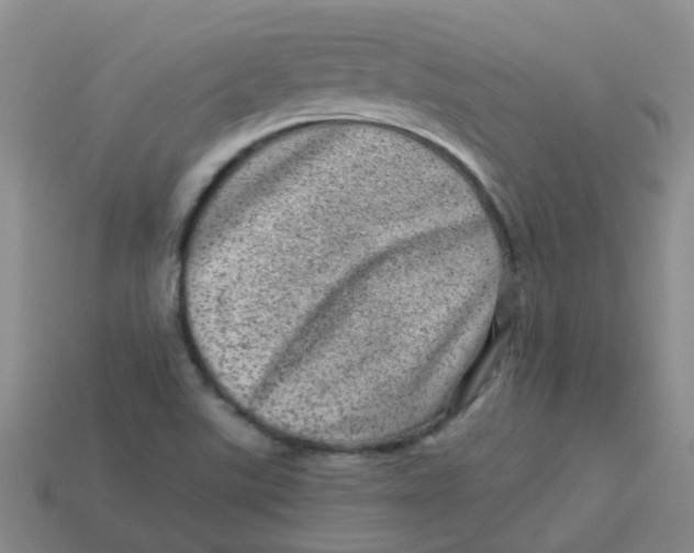 X0000113561507200910161445
