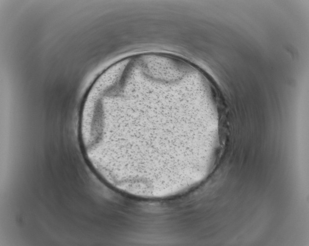 X0000113561508200910161445