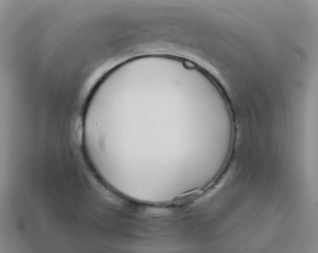 X0000113561509200910161445