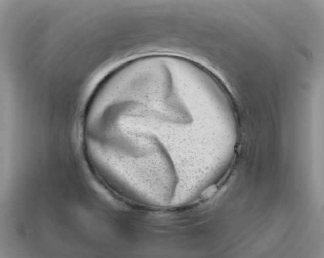X0000113561511200910161445