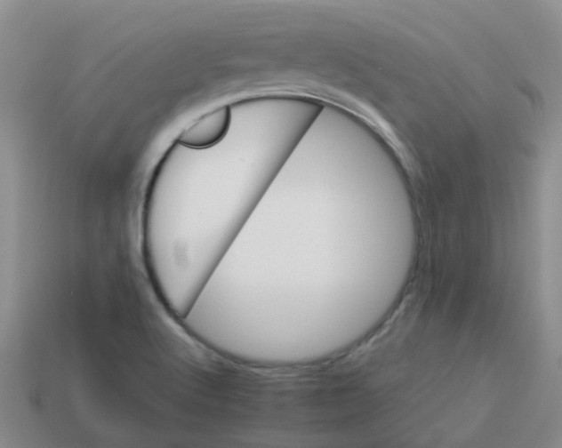 X0000113561512200910161445