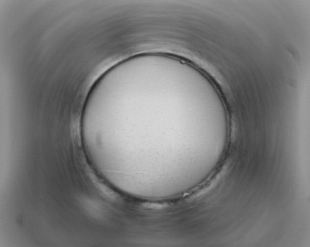 X0000113561513200910161445