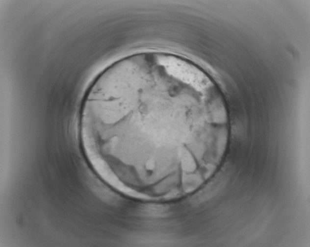 X0000113561514200910161445