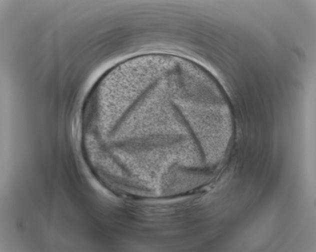 X0000113561515200910161445
