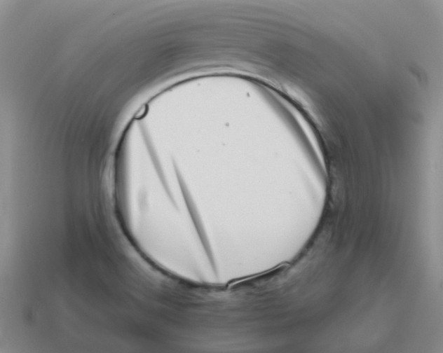 X0000113561516200910161445