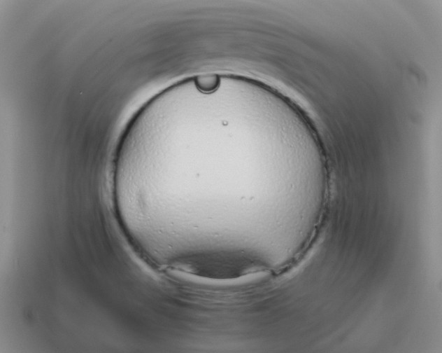 X0000113561517200910161445