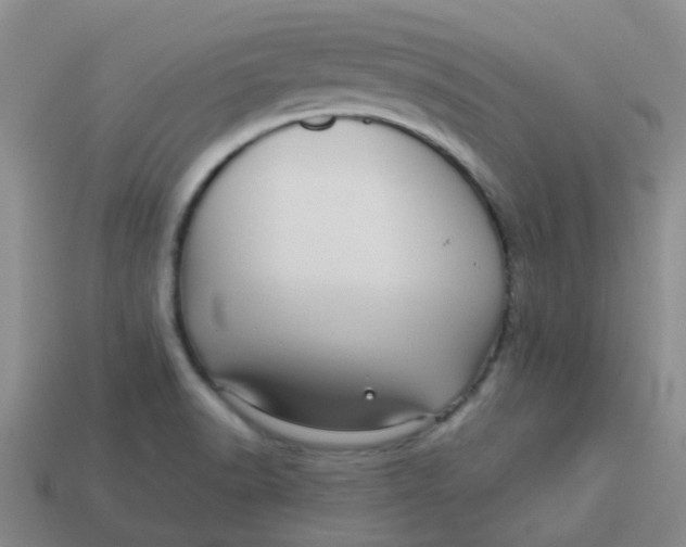 X0000113561518200910161445