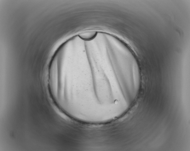 X0000113561519200910161445