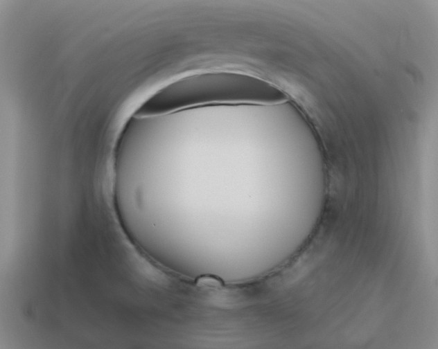 X0000113561520200910161445
