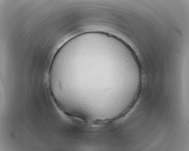 X0000113561521200910161445
