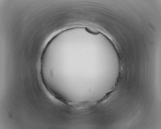 X0000113561523200910161445