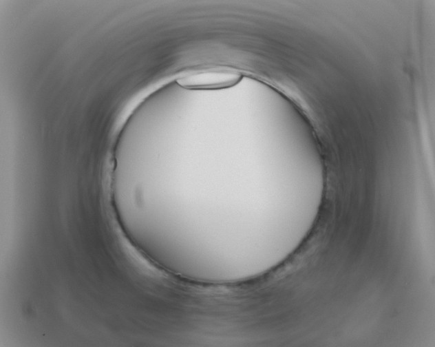 X0000113561524200910161445