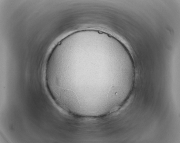 X0000113561525200910161445