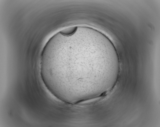 X0000113561526200910161445