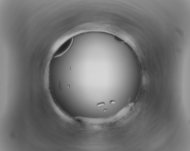 X0000113561528200910161445