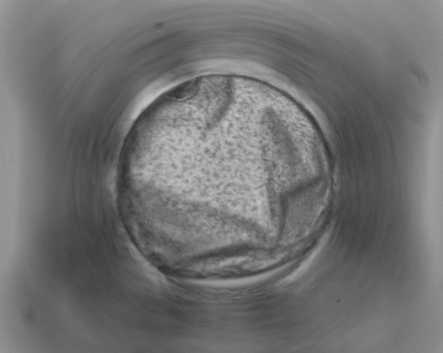 X0000113561529200910161445
