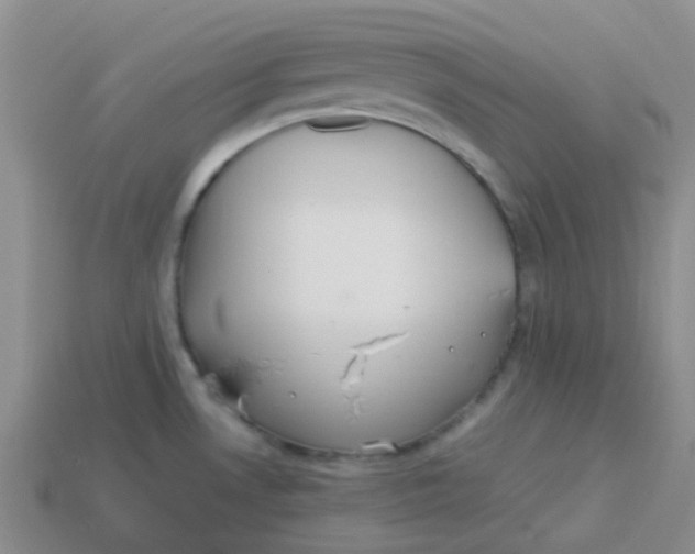 X0000113561530200910161445