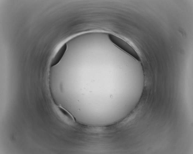 X0000113561532200910161445