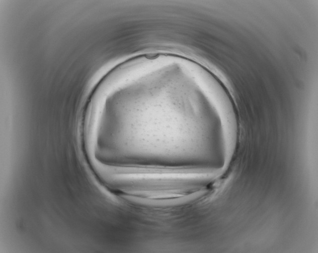 X0000113561533200910161445