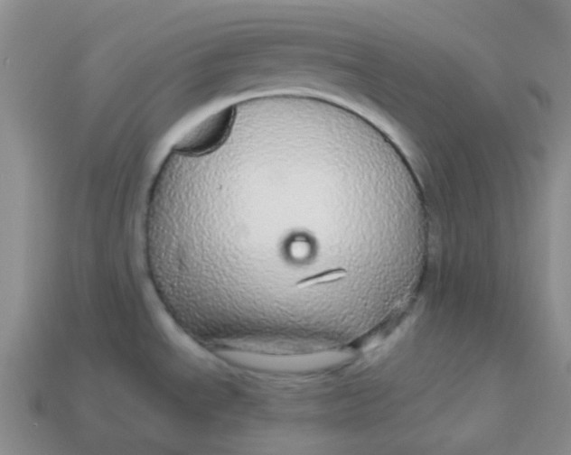 X0000113561534200910161445