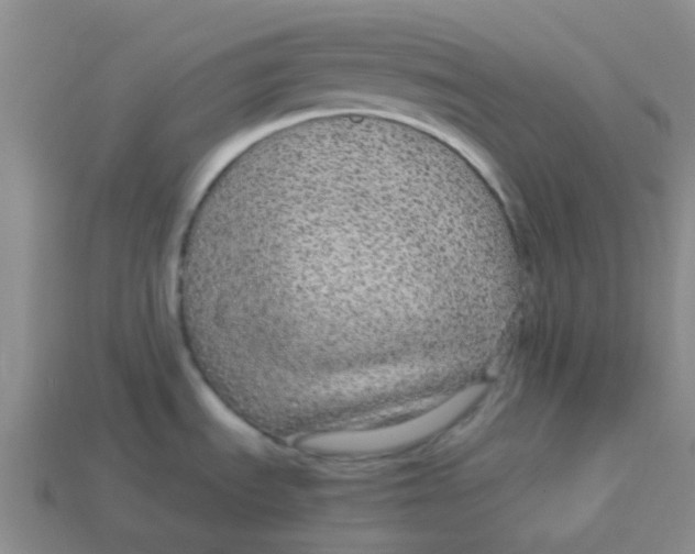 X0000113561535200910161445
