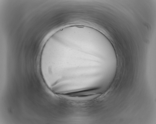 X0000113561536200910161445