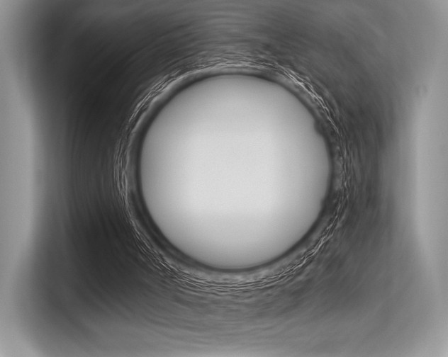 X0000113570002200909181009