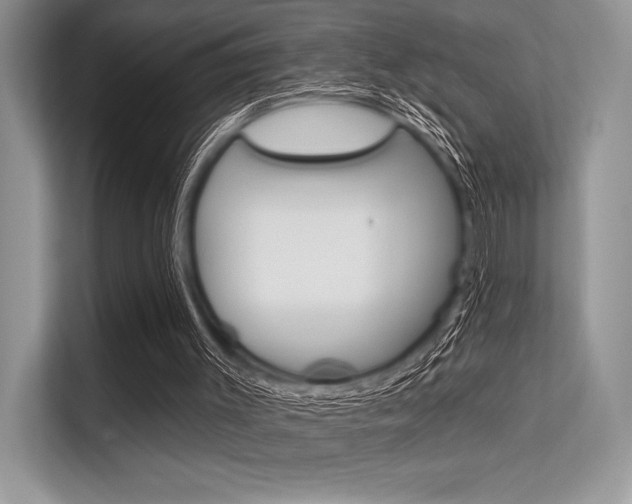 X0000113570003200909181009