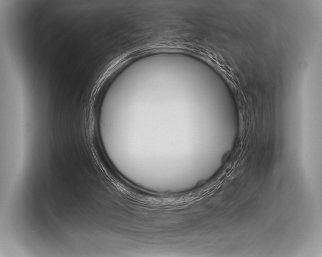 X0000113570005200909181009
