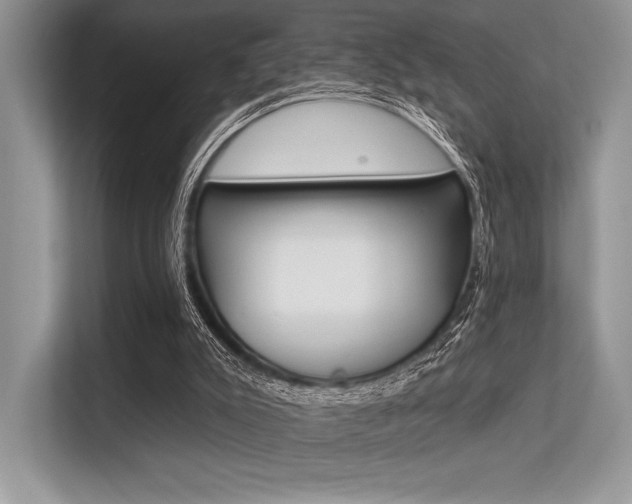 X0000113570007200909181009