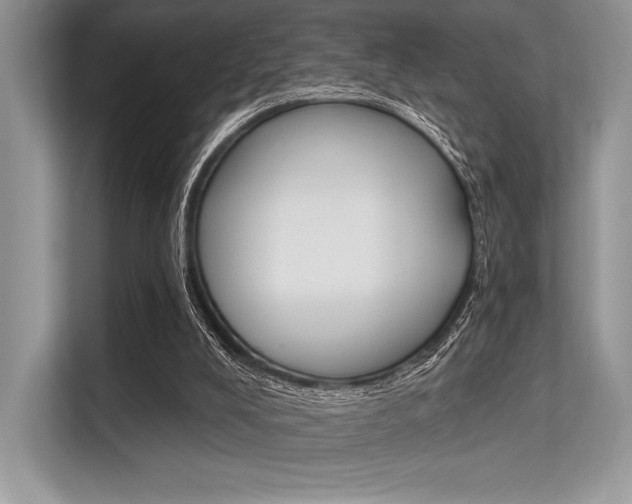 X0000113570008200909181009