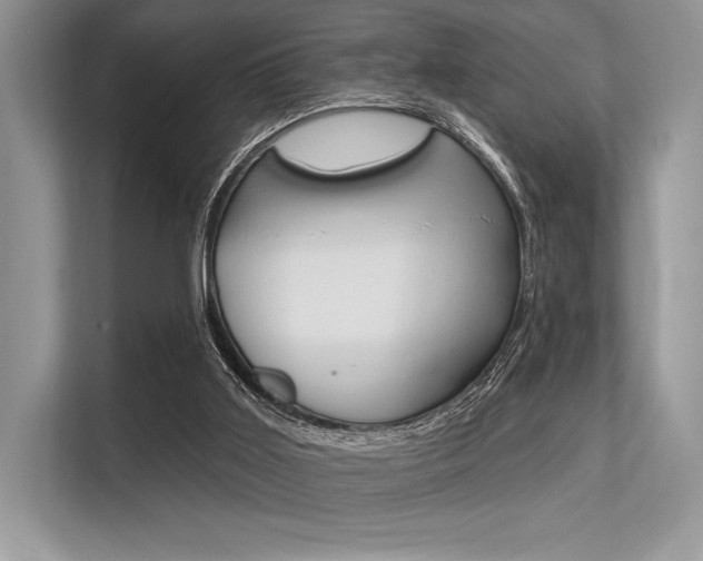 X0000113570011200909181009
