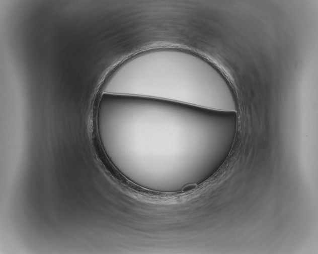 X0000113570015200909181009