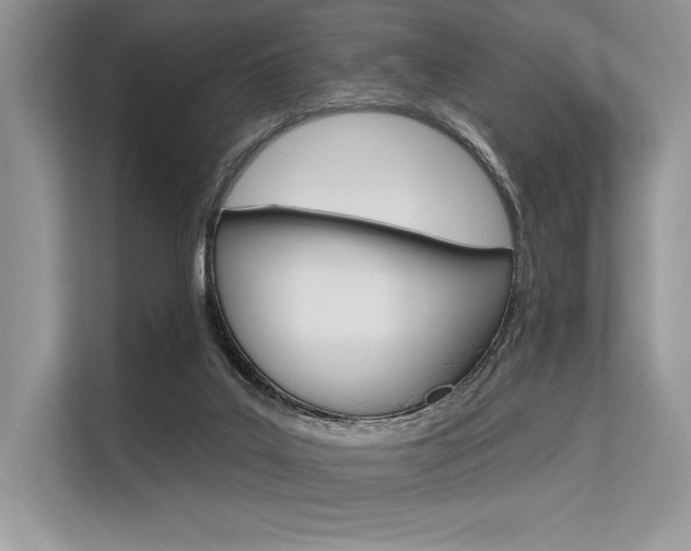 X0000113570019200909181009