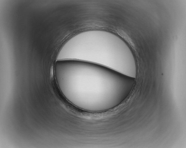X0000113570021200909181008