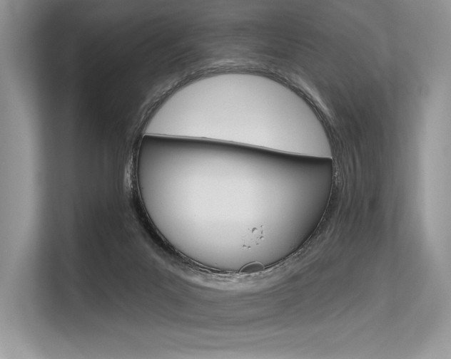 X0000113570023200909181008