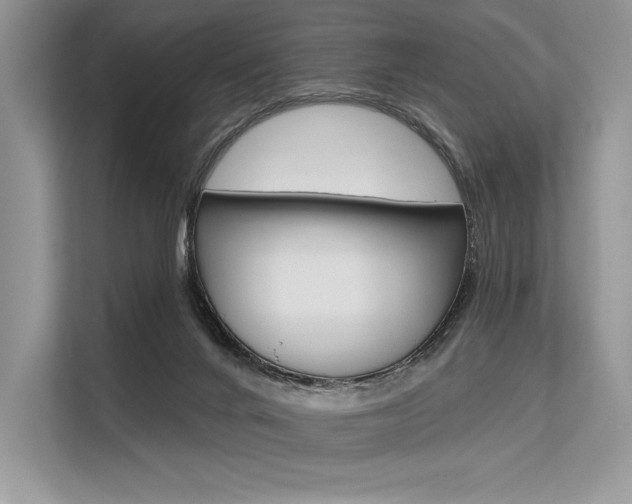 X0000113570024200909181008