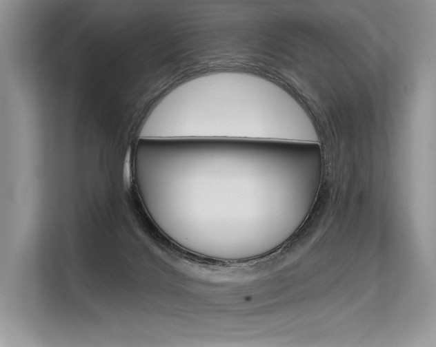X0000113570028200909181008