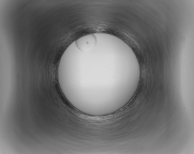 X0000113570030200909181008