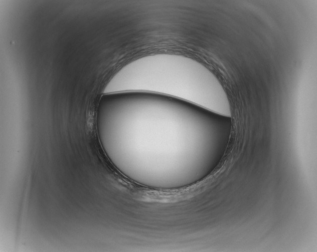 X0000113570033200909181008