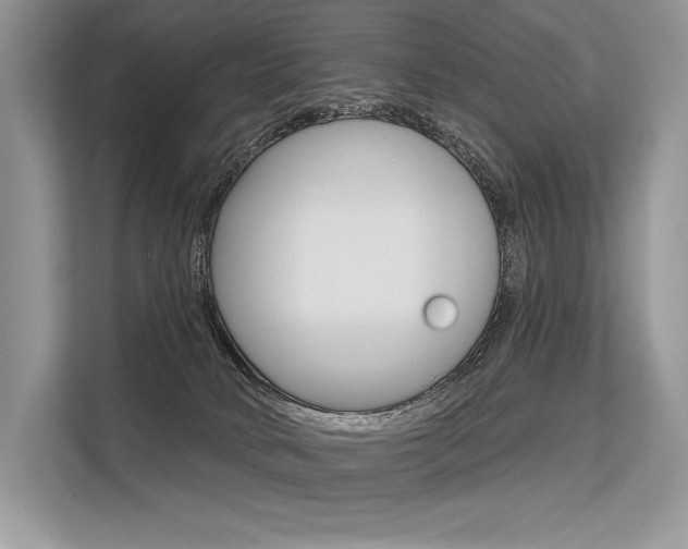 X0000113570034200909181008